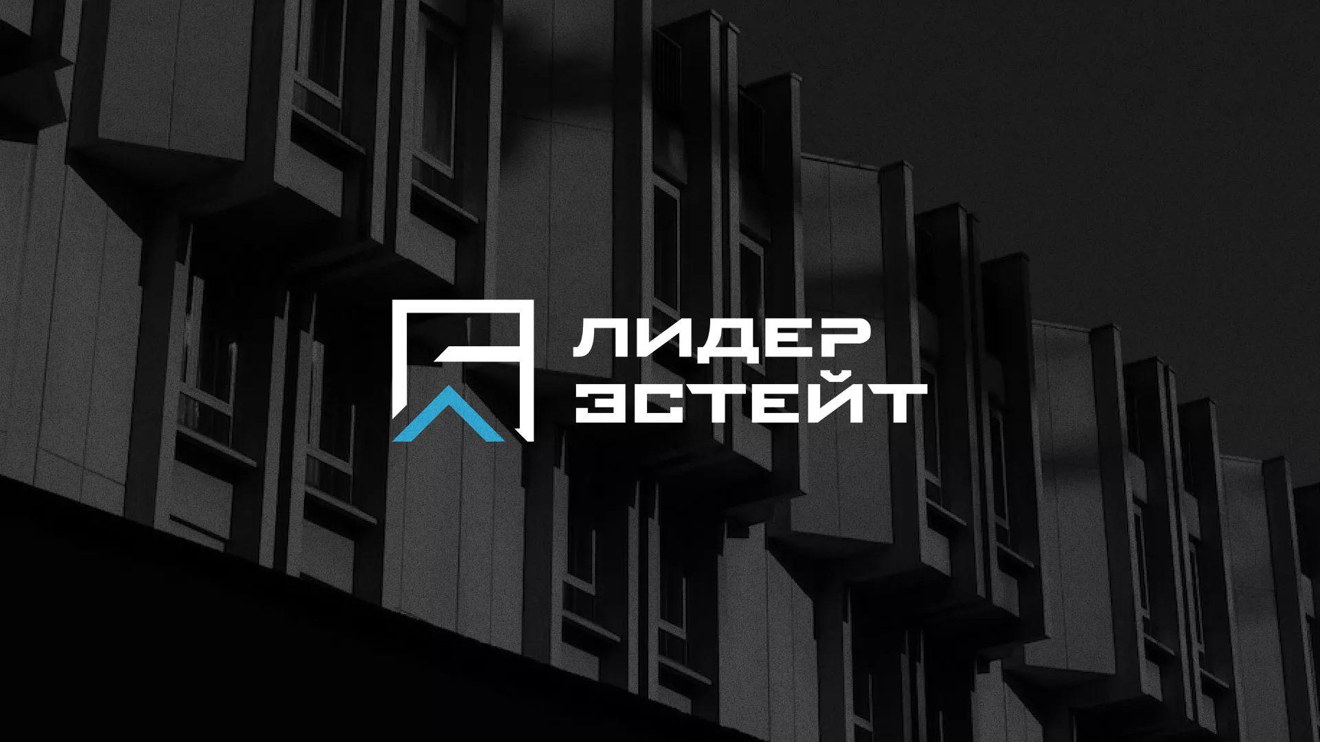 Разработка логотипа агентства недвижимости «Лидер Эстейт» в Заводоуковске